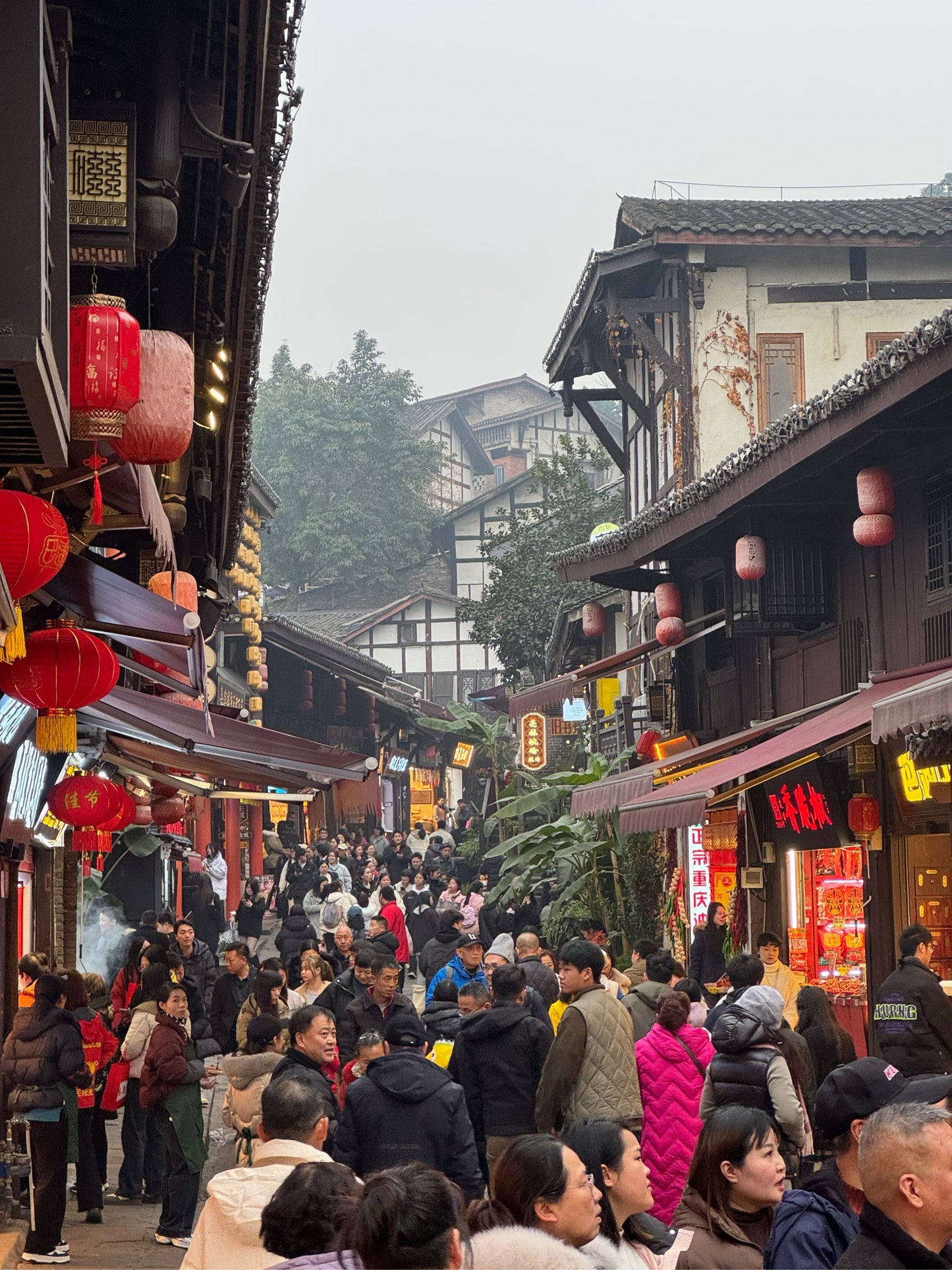Chongqing 5-Day Tour: Pandas, Cultural Heritage & Mountain-City Wonders