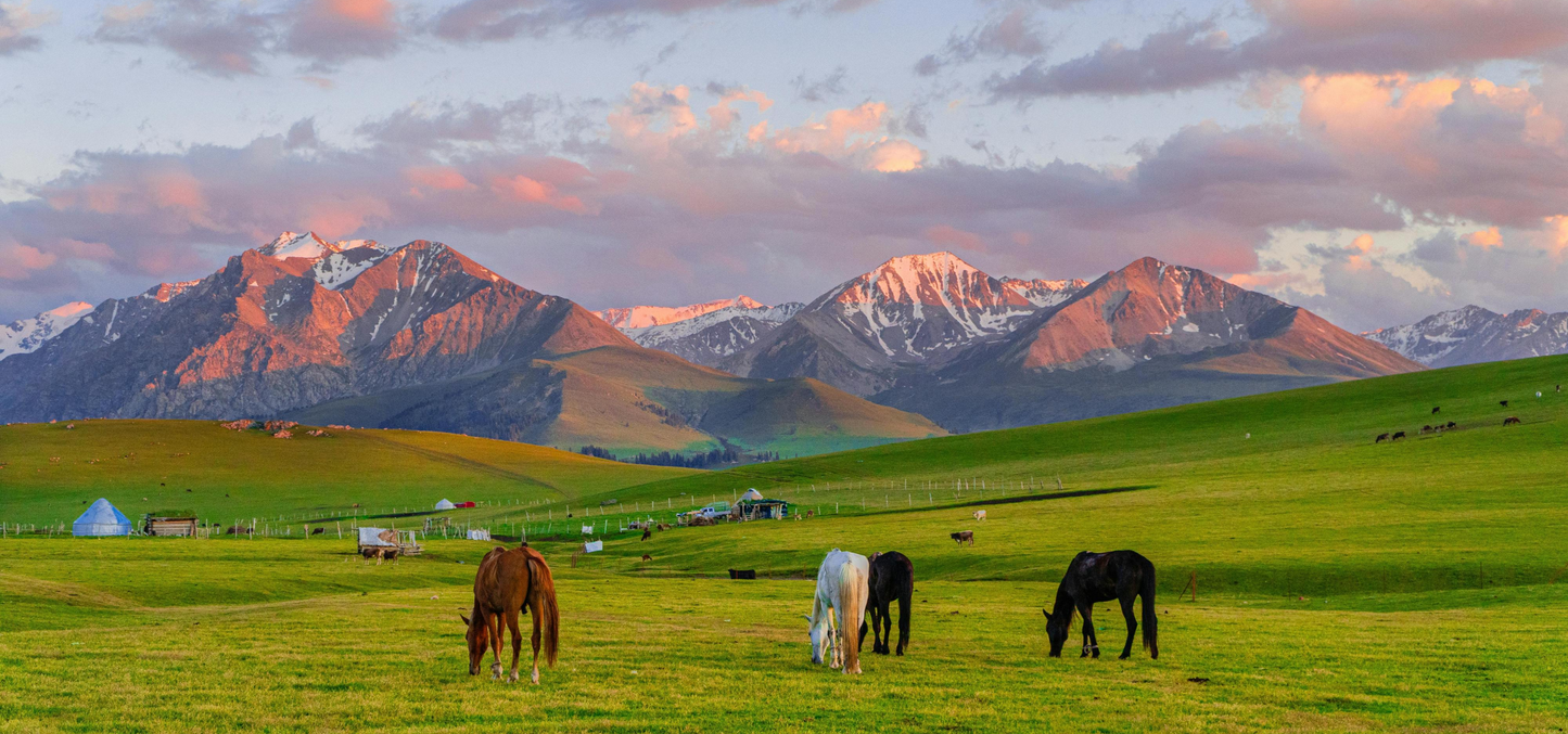 Ili 7-Day Explorer: Sayram Blue & Swan Lake Mist