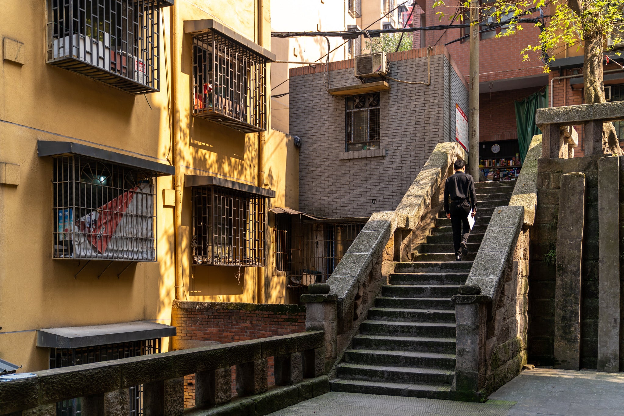 Chongqing & Yangtze Three Gorges 5-Day Tour: Urban Wonders & River Scenery