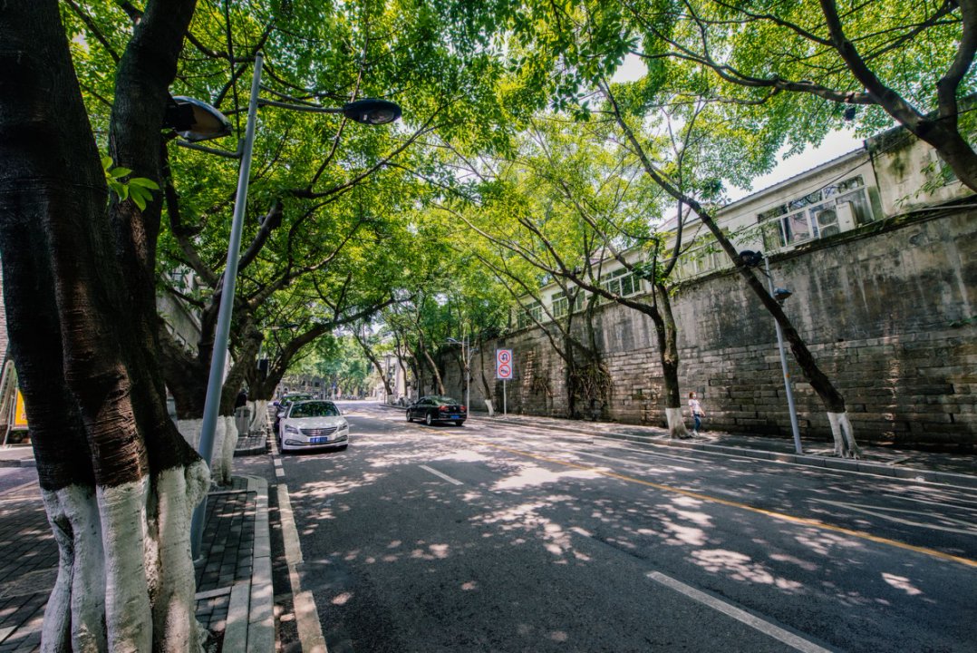 Chongqing; Chengdu 5-Day Tour: Culture, Pandas &amp; Urban Charms